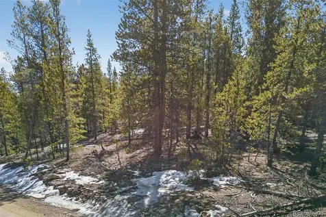 312 Mt Massive Road Twin Lakes CO 81251