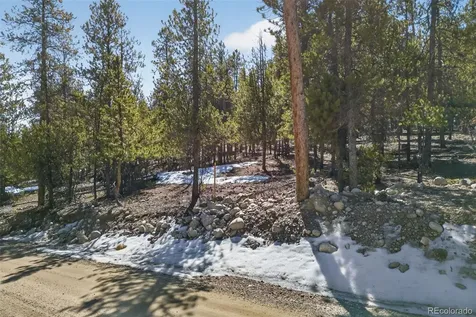 312 Mt Massive Road Twin Lakes CO 81251