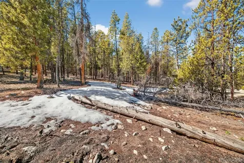 312 Mt Massive Road Twin Lakes CO 81251