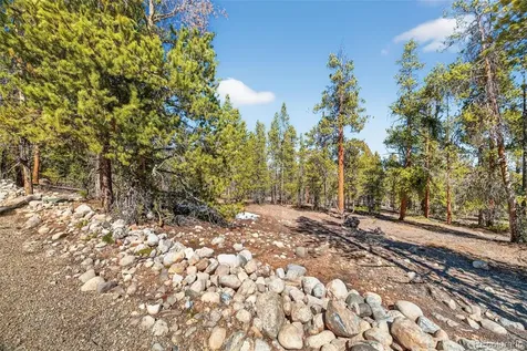 312 Mt Massive Road Twin Lakes CO 81251