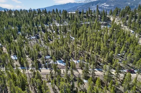 312 Mt Massive Road Twin Lakes CO 81251