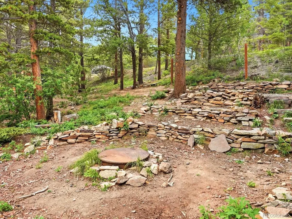 286 Texas Drive Idaho Springs CO 80452