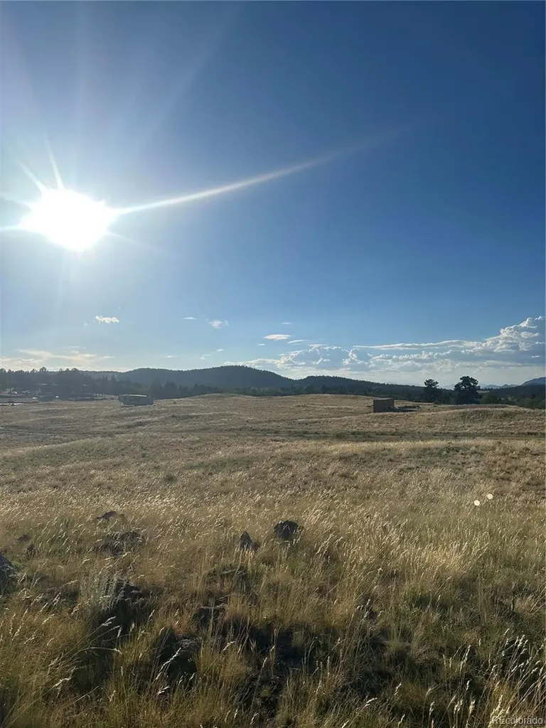 290 Castle Mountain Drive Florissant CO 80816