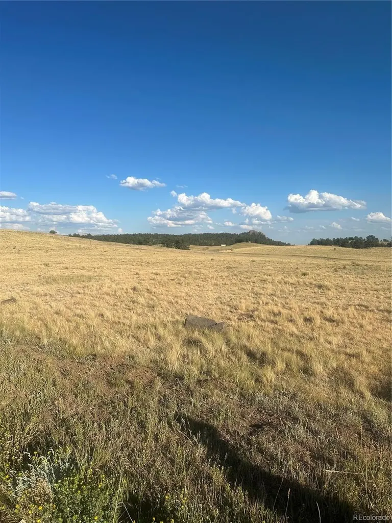 290 Castle Mountain Drive Florissant CO 80816