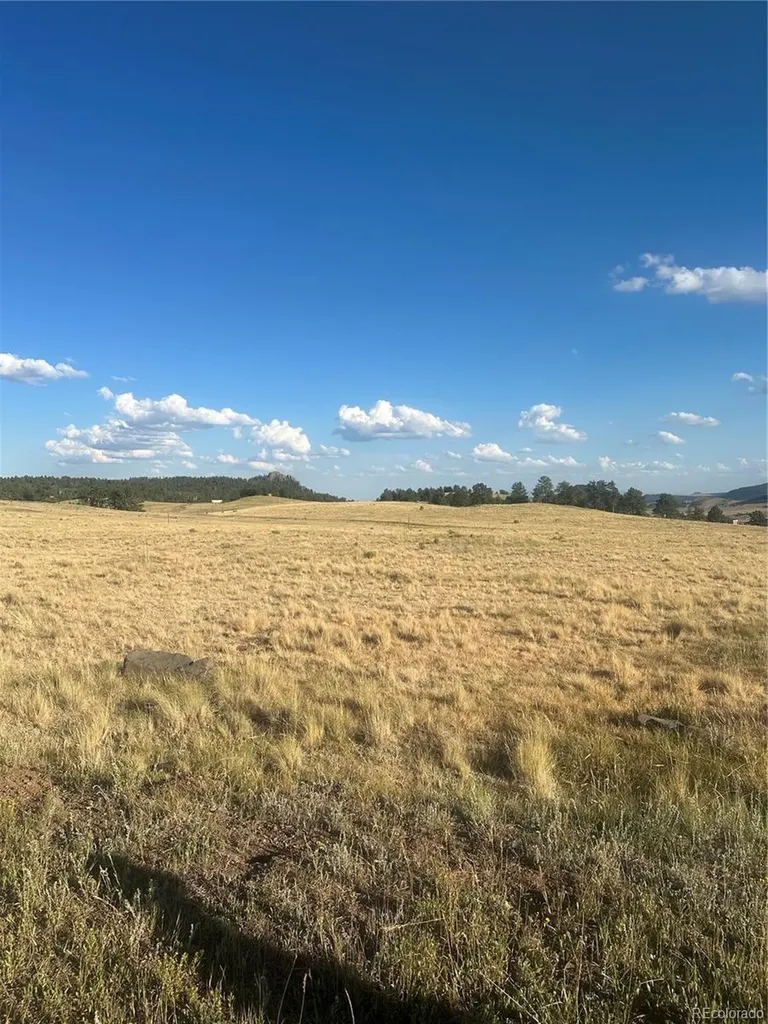 290 Castle Mountain Drive Florissant CO 80816