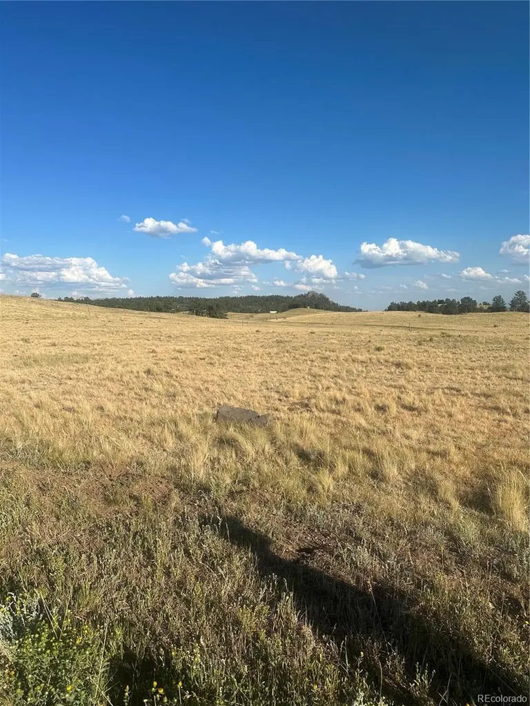 290 Castle Mountain Drive Florissant CO 80816