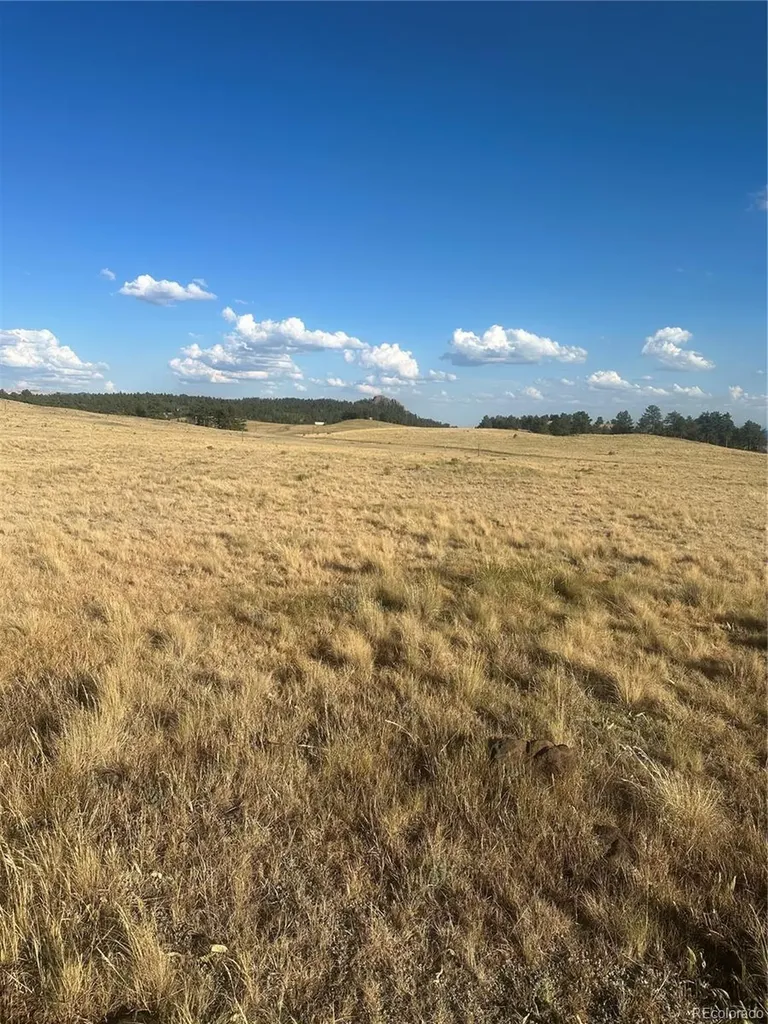 290 Castle Mountain Drive Florissant CO 80816