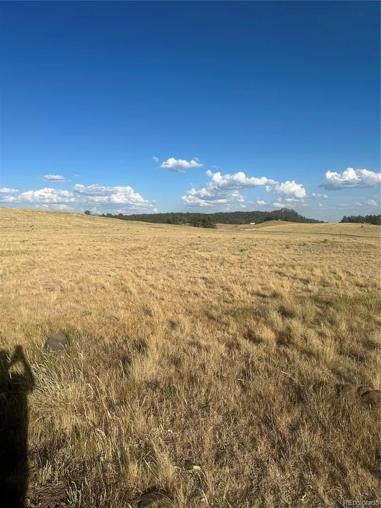 290 Castle Mountain Drive Florissant CO 80816
