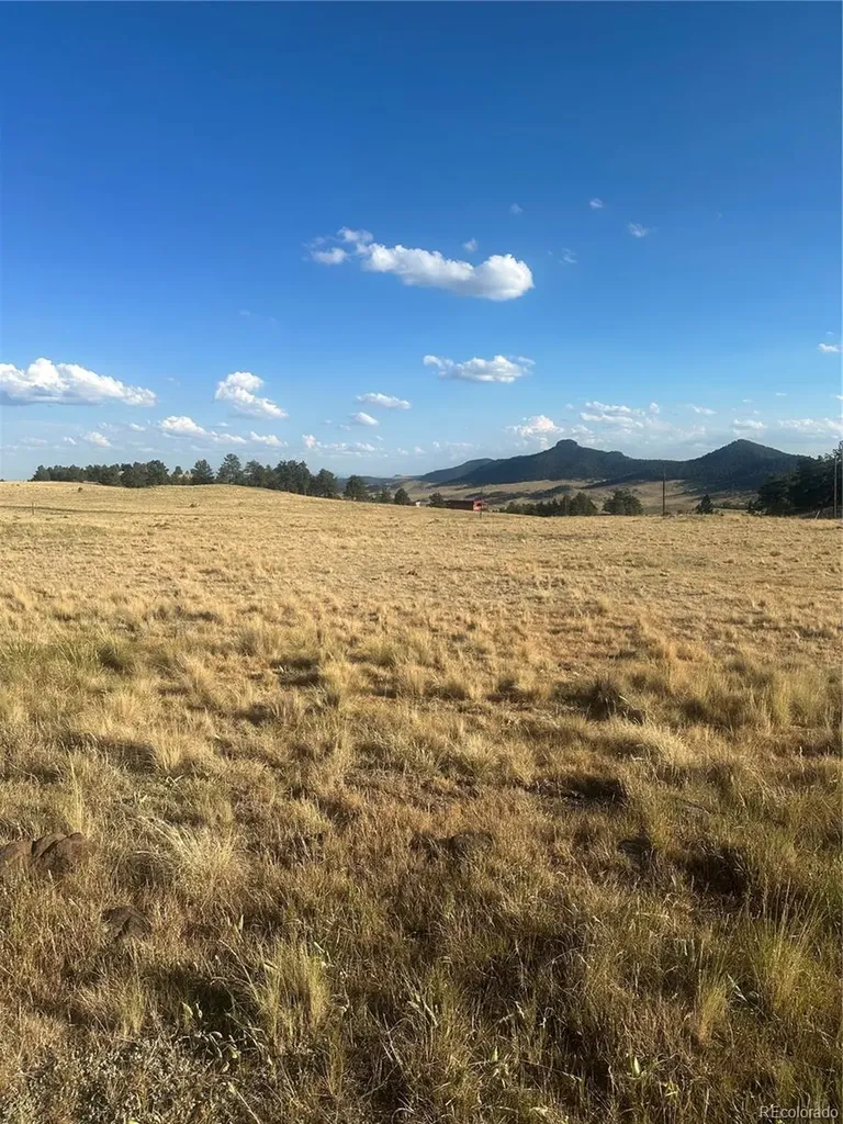 290 Castle Mountain Drive Florissant CO 80816