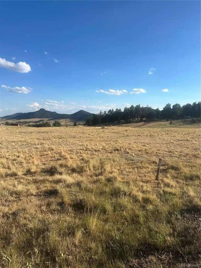 290 Castle Mountain Drive Florissant CO 80816