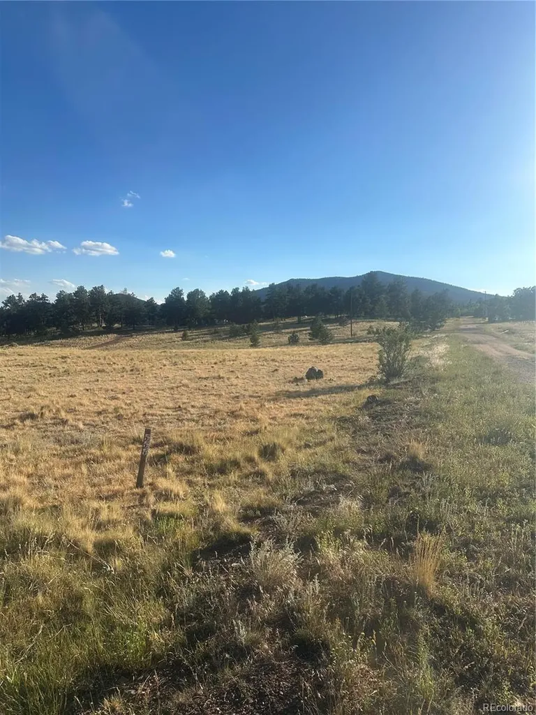 290 Castle Mountain Drive Florissant CO 80816