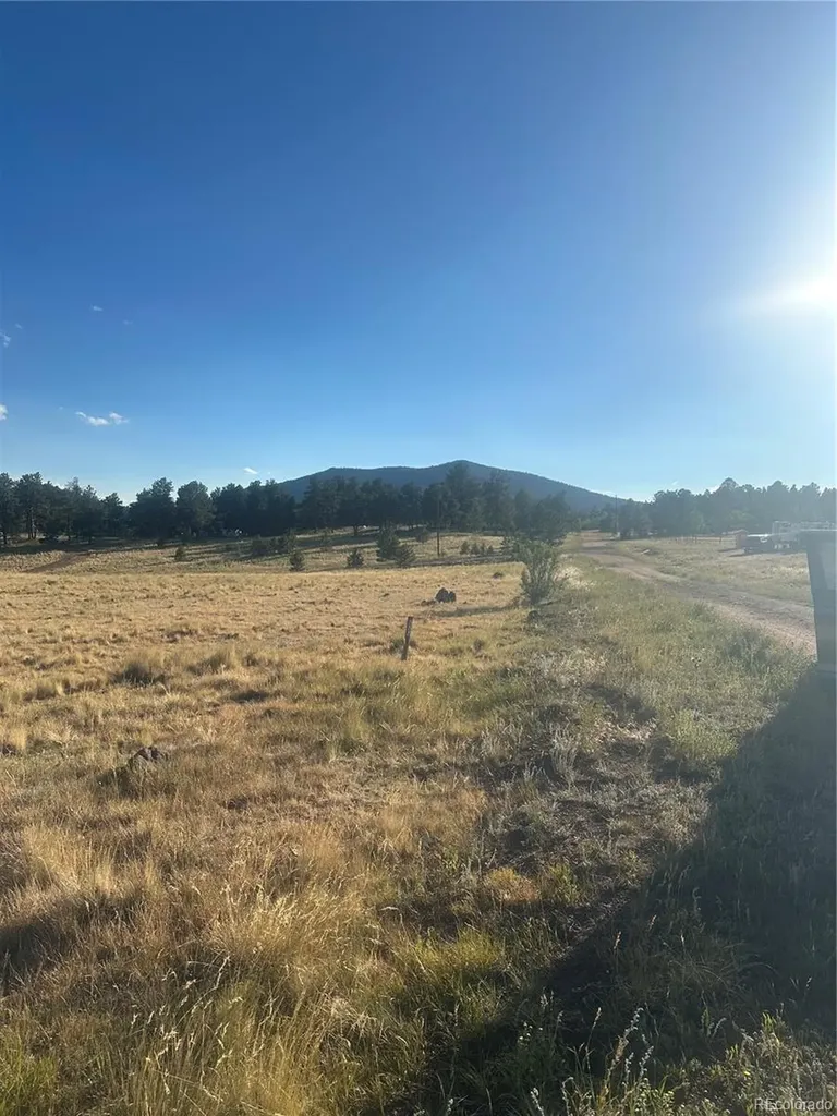 290 Castle Mountain Drive Florissant CO 80816