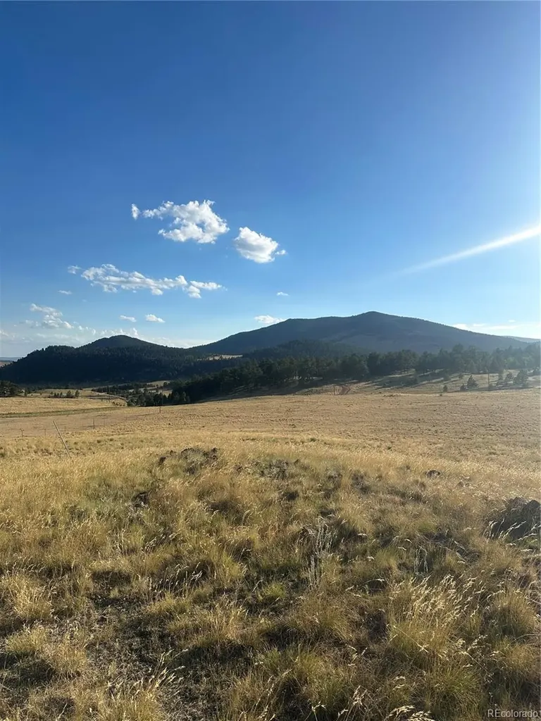 290 Castle Mountain Drive Florissant CO 80816