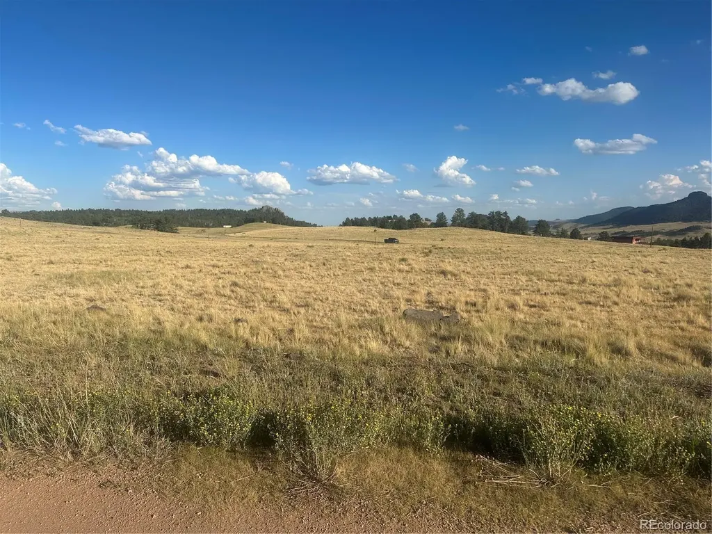 290 Castle Mountain Drive Florissant CO 80816