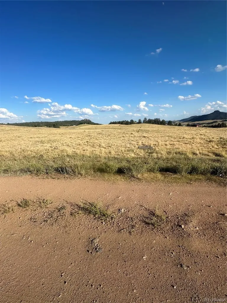 290 Castle Mountain Drive Florissant CO 80816