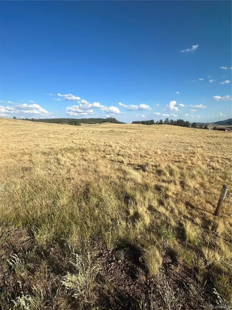290 Castle Mountain Drive Florissant CO 80816