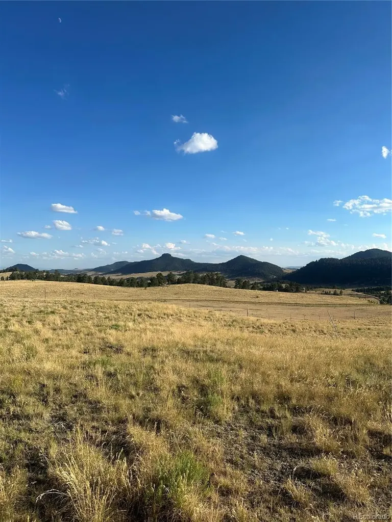 290 Castle Mountain Drive Florissant CO 80816