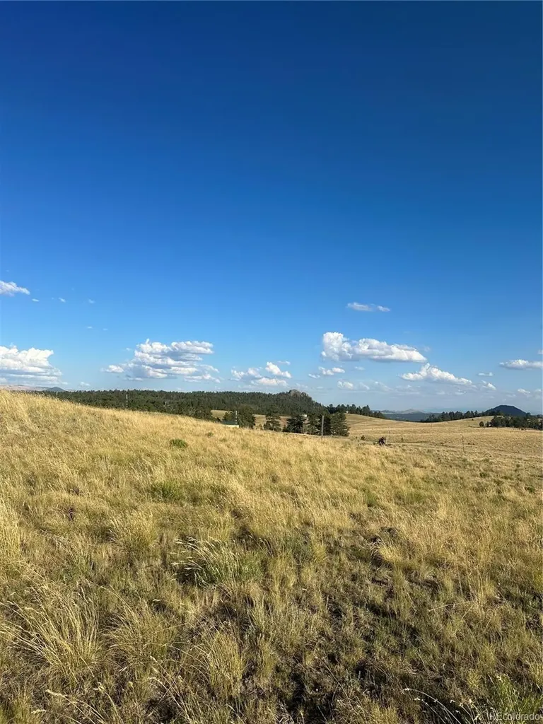 290 Castle Mountain Drive Florissant CO 80816