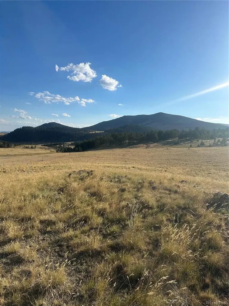 290 Castle Mountain Drive Florissant CO 80816