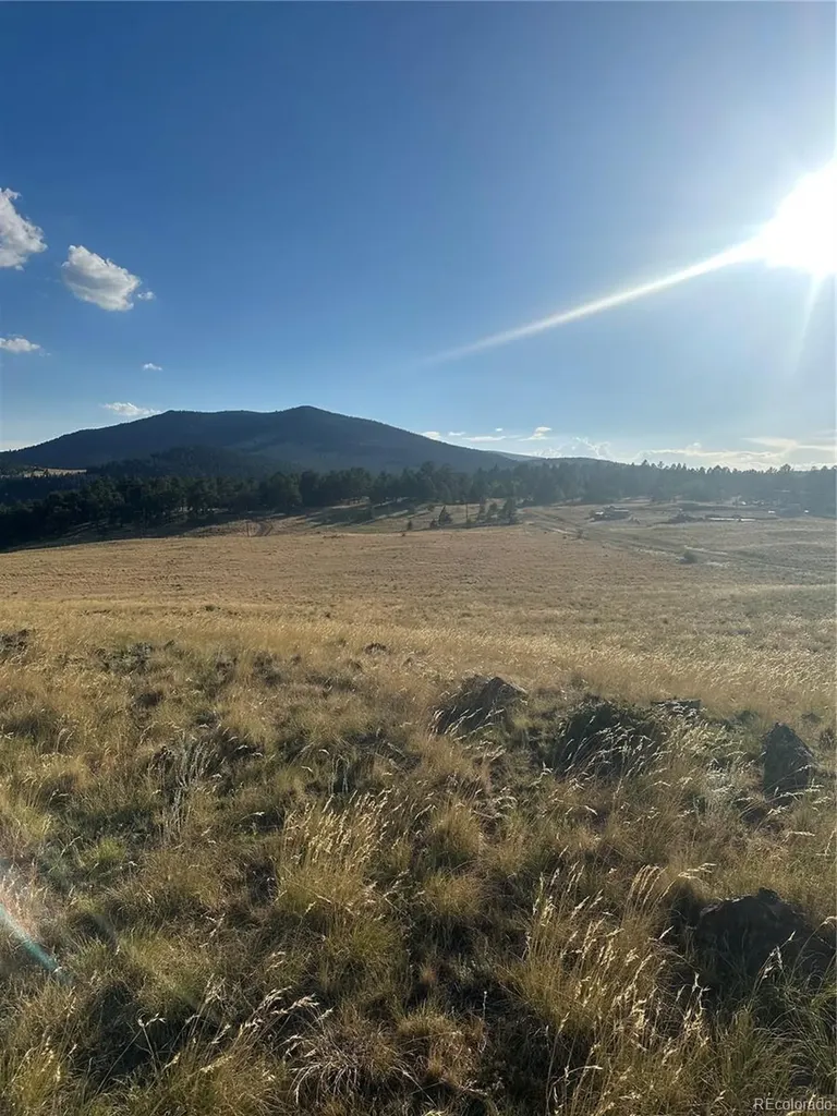 290 Castle Mountain Drive Florissant CO 80816
