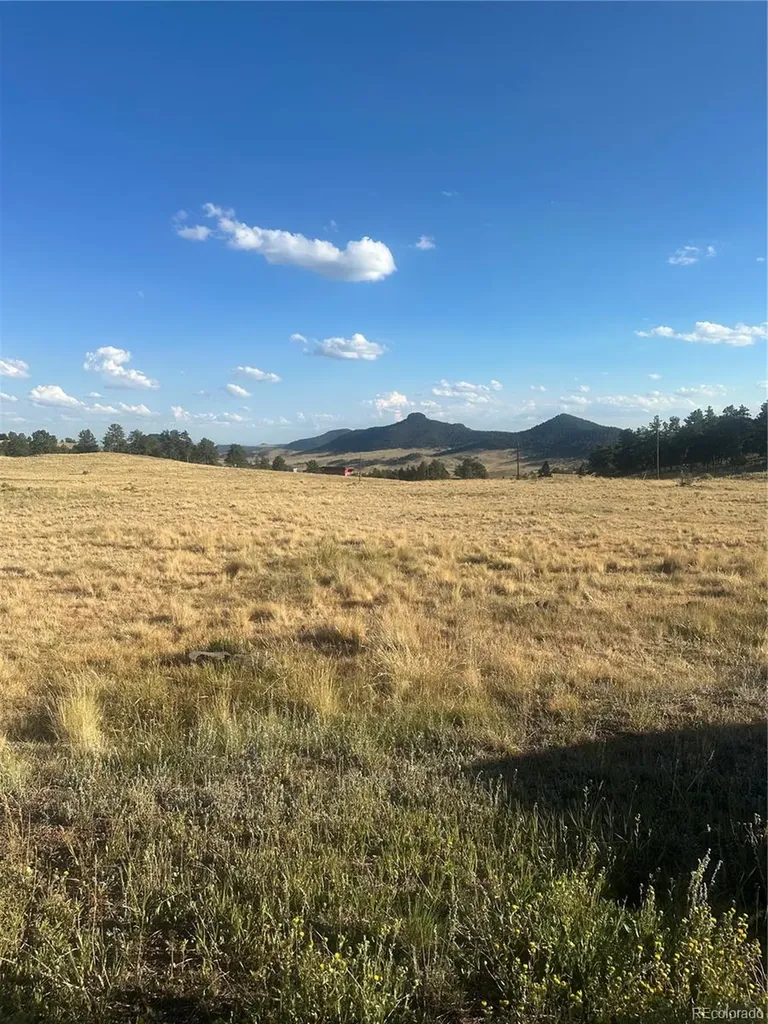 290 Castle Mountain Drive Florissant CO 80816