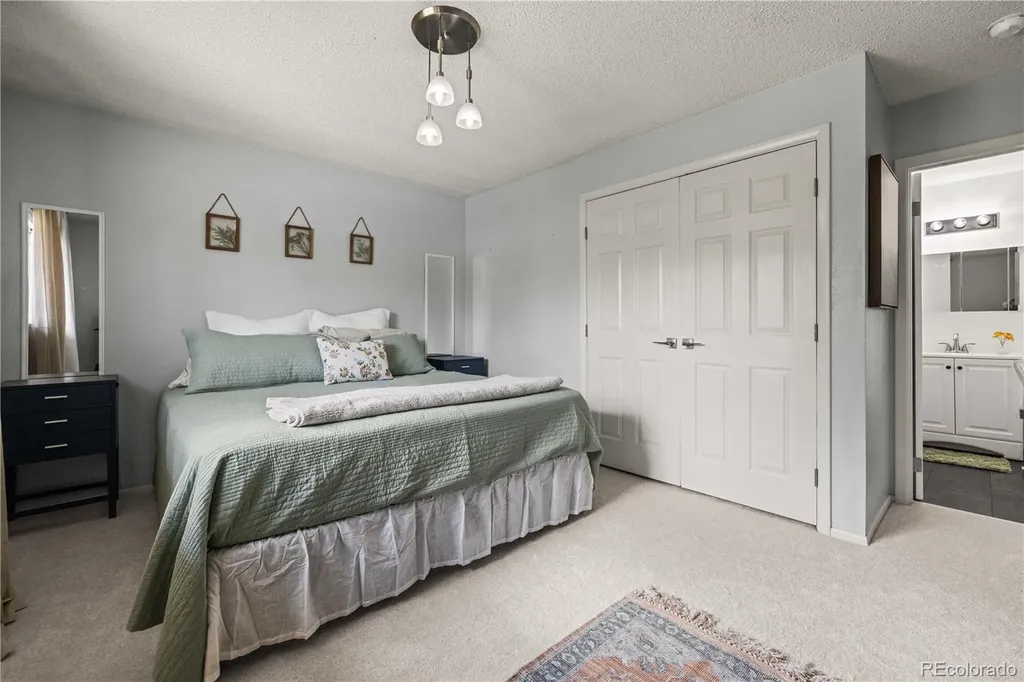 2951 S Downing Street Englewood CO 80113