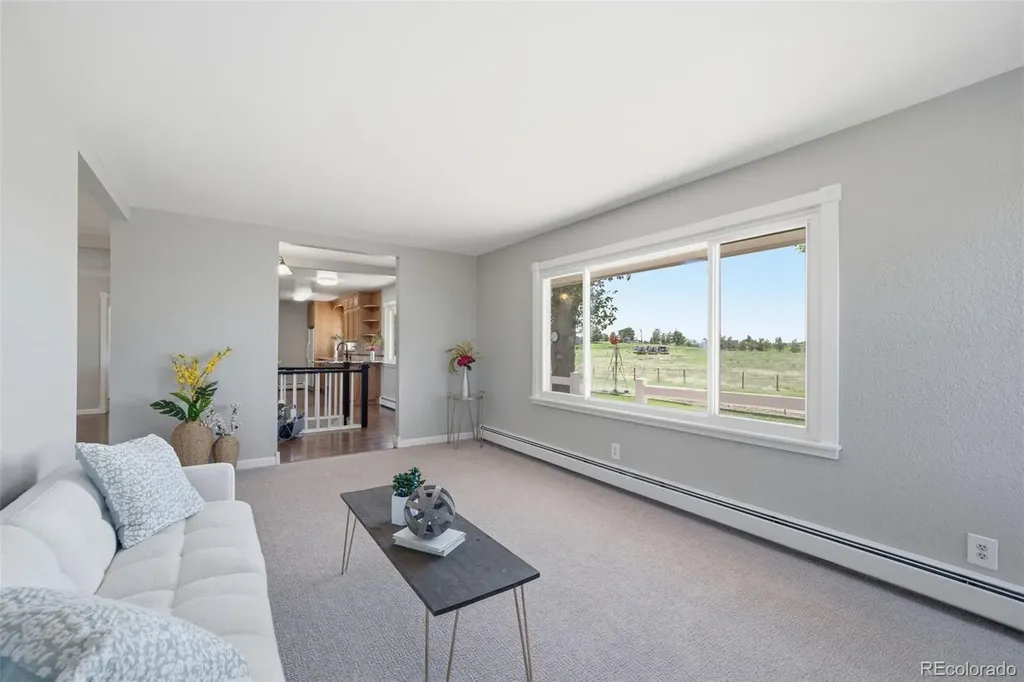42593 London Drive Parker CO 80138