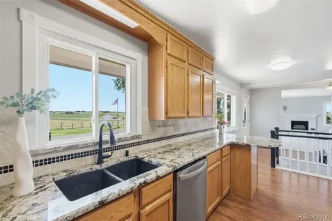 42593 London Drive Parker CO 80138