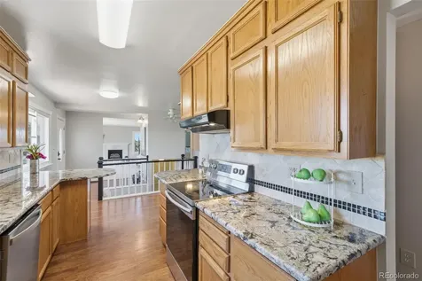 42593 London Drive Parker CO 80138