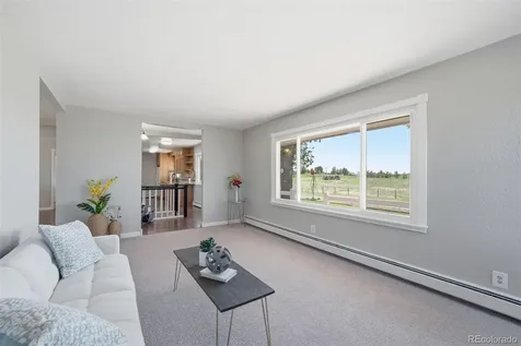 42593 London Drive Parker CO 80138