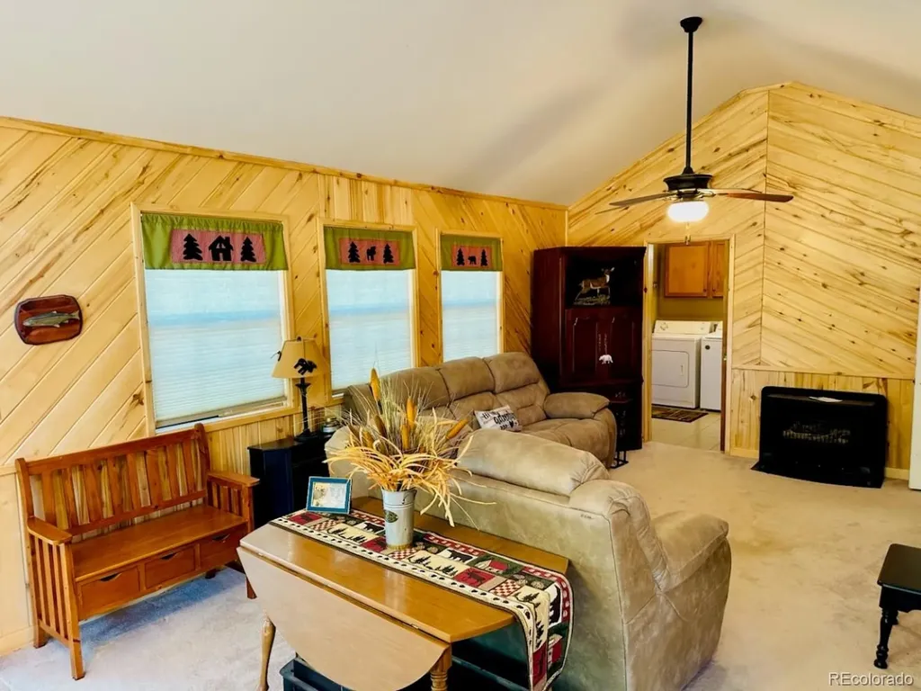 72 Okie Lane South Fork CO 81154