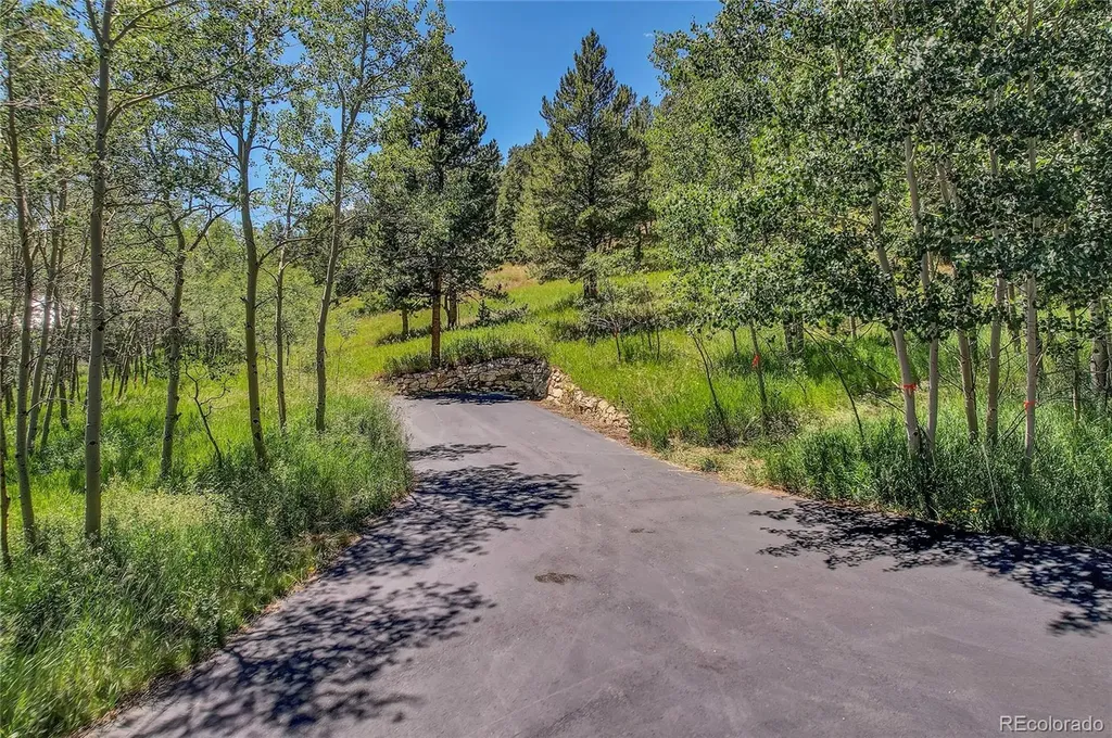 Block 2, Lot 24 Hughesville Road Black Hawk CO 80422