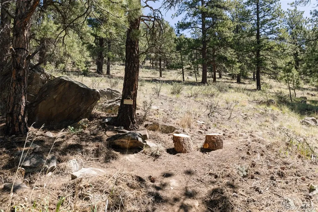 1898 Kerr Gulch Road Evergreen CO 80439