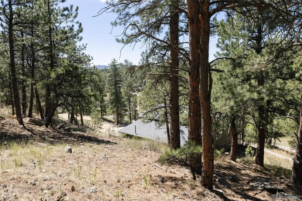 1898 Kerr Gulch Road Evergreen CO 80439