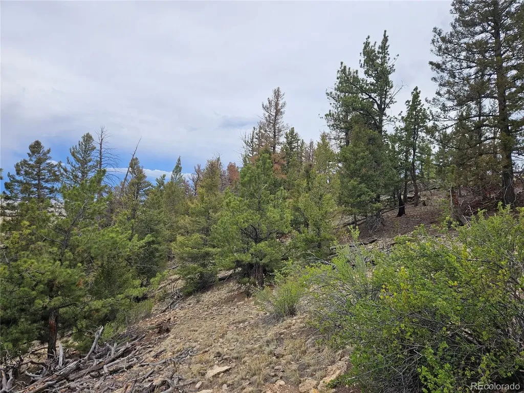 PCS#24807 Satanta Trail Hartsel CO 80449