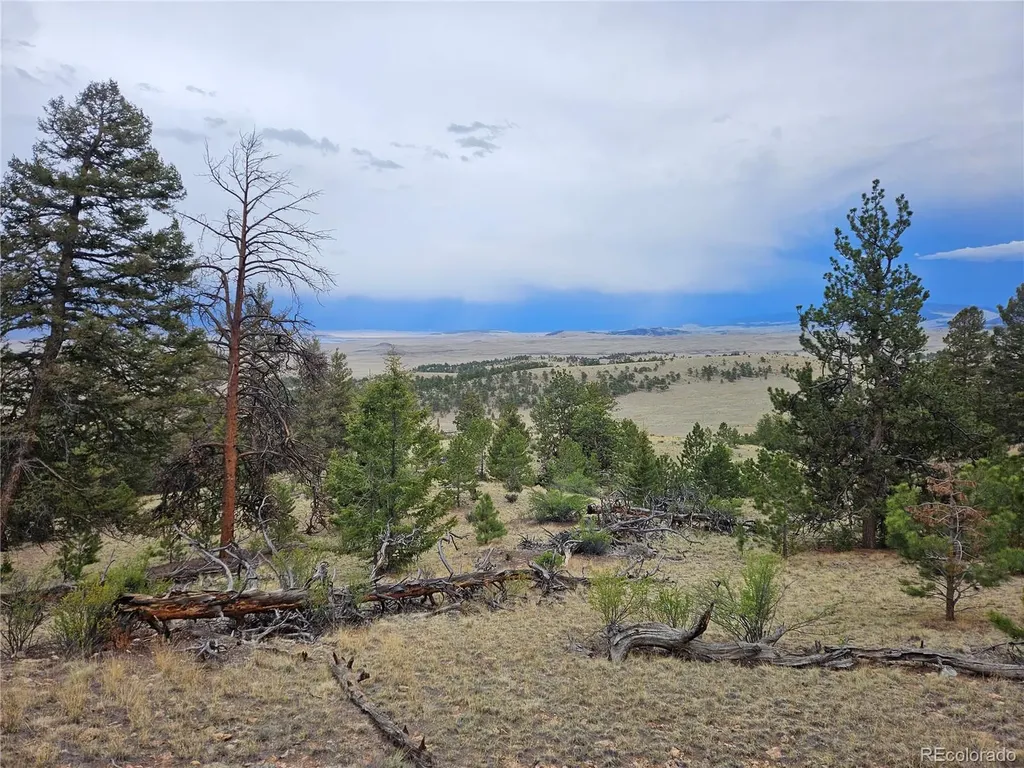 PCS#24807 Satanta Trail Hartsel CO 80449