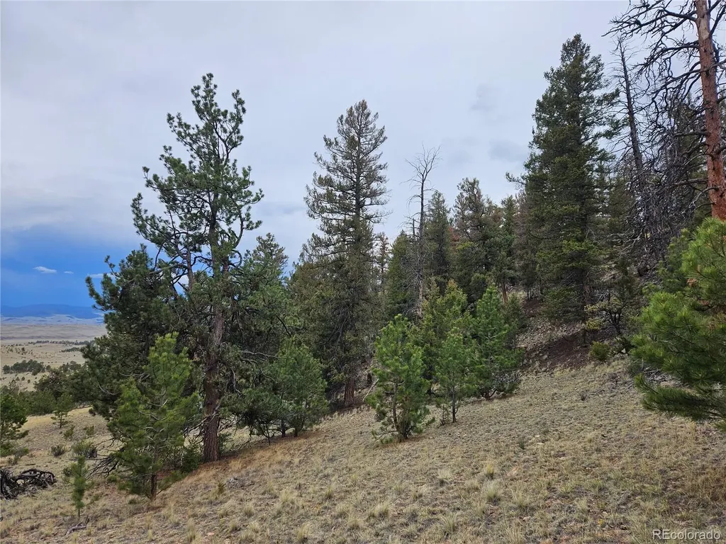 PCS#24807 Satanta Trail Hartsel CO 80449