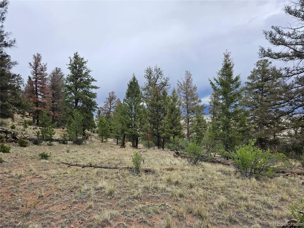 PCS#24807 Satanta Trail Hartsel CO 80449