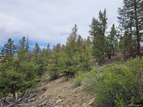 PCS#24807 Satanta Trail Hartsel CO 80449