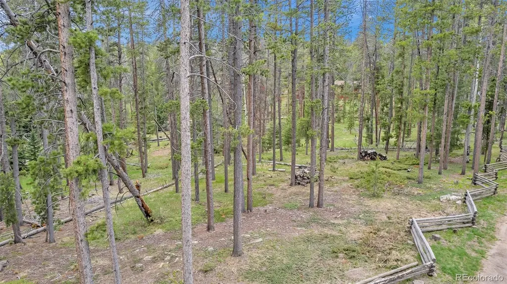 Lot 2m Vickery Avenue Conifer CO 80433