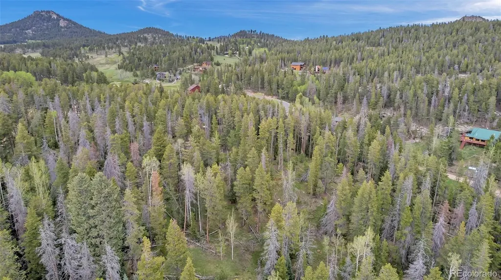 Lot 2m Vickery Avenue Conifer CO 80433