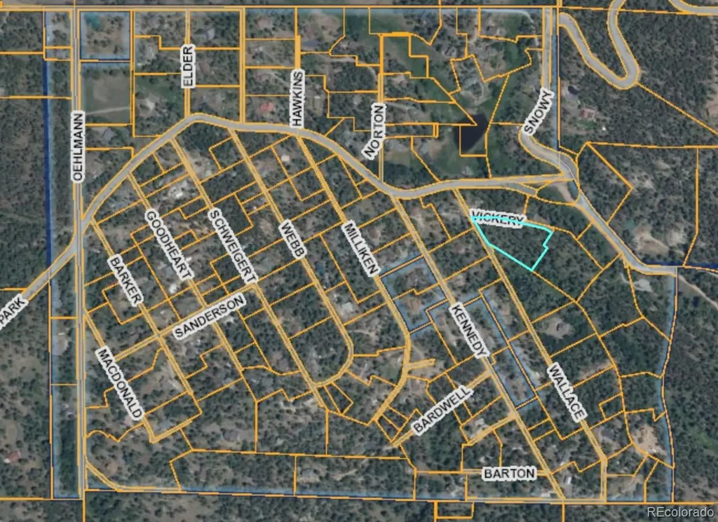 Lot 2m Vickery Avenue Conifer CO 80433