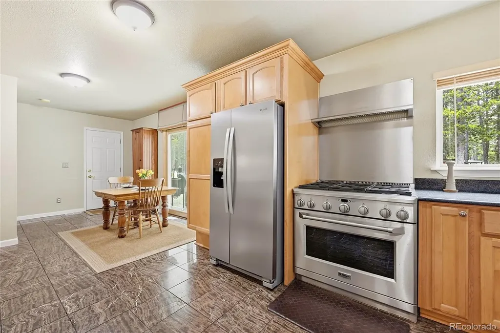 9128 Krashin Drive Conifer CO 80433