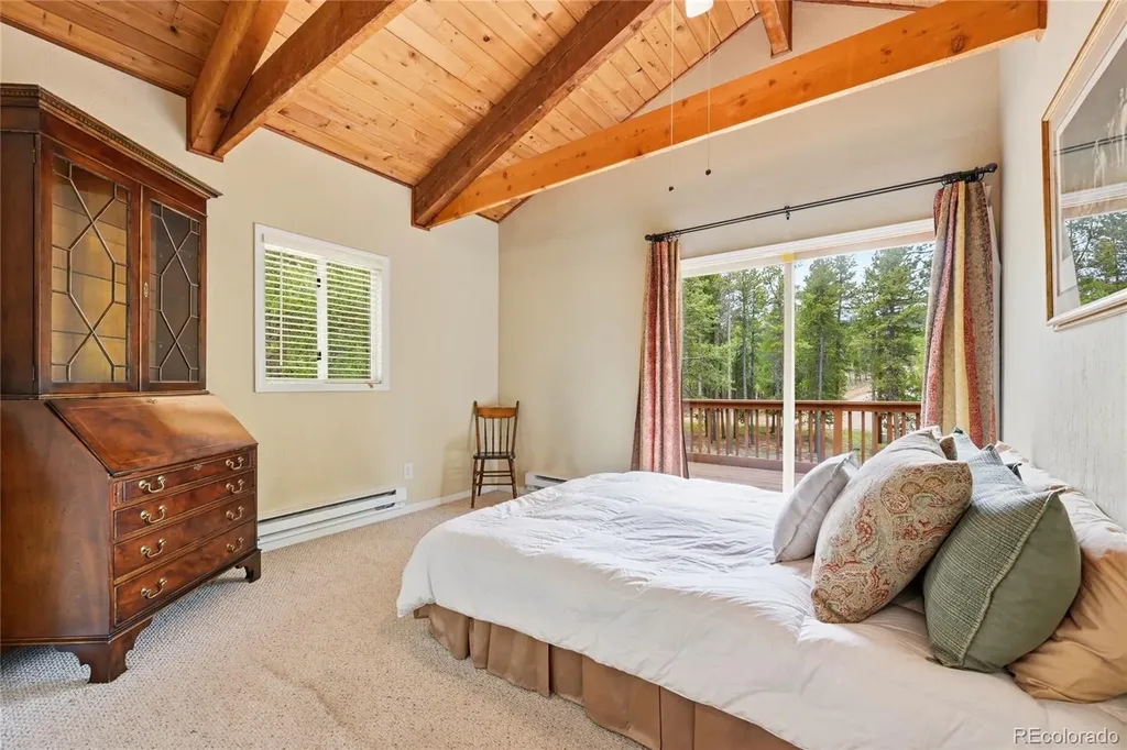 9128 Krashin Drive Conifer CO 80433