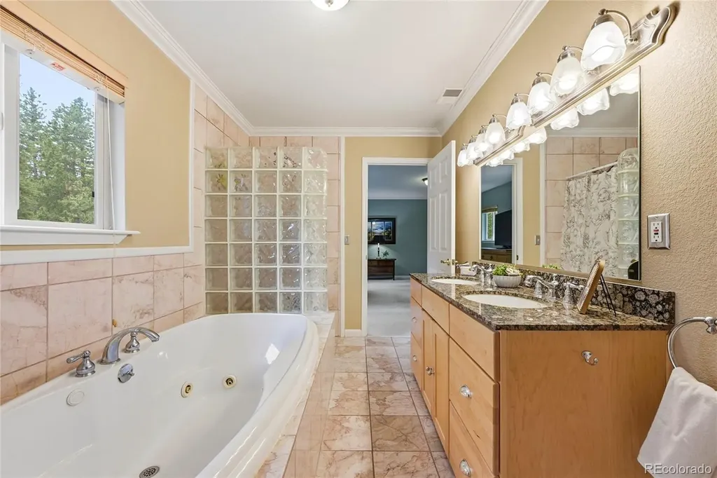 9128 Krashin Drive Conifer CO 80433