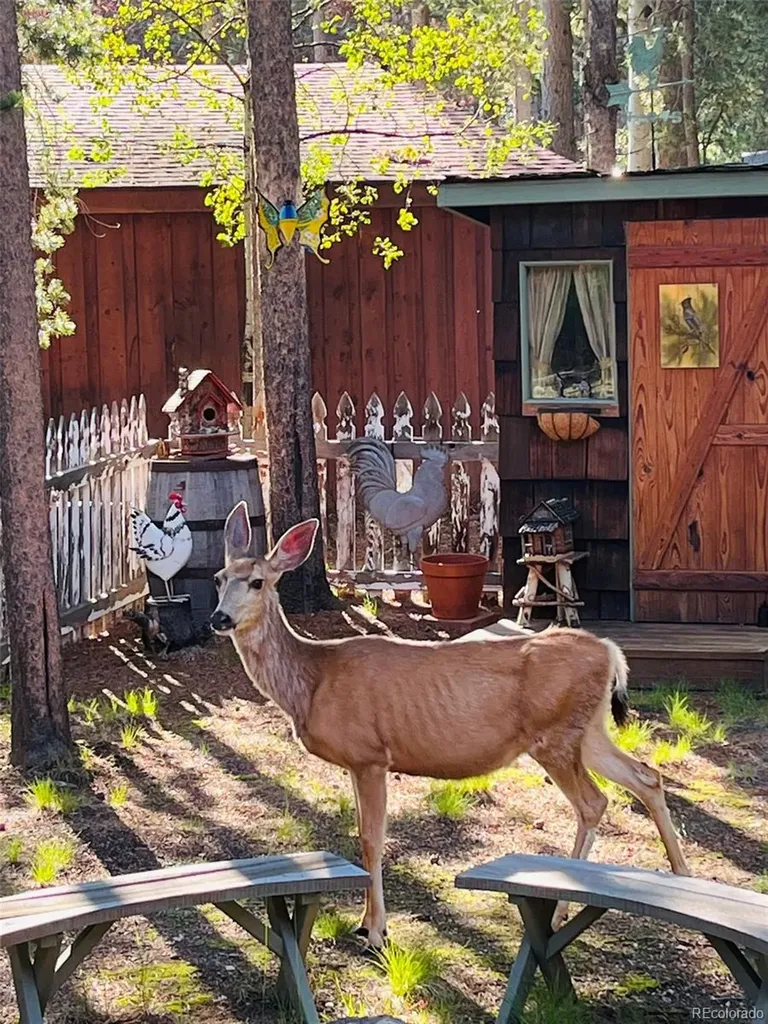 9128 Krashin Drive Conifer CO 80433