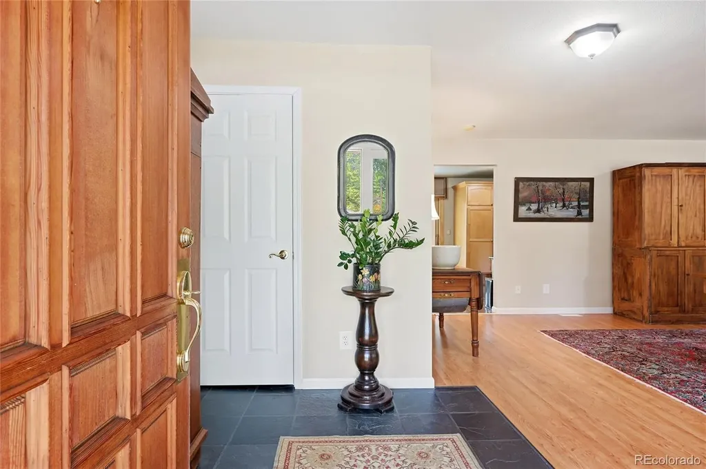 9128 Krashin Drive Conifer CO 80433