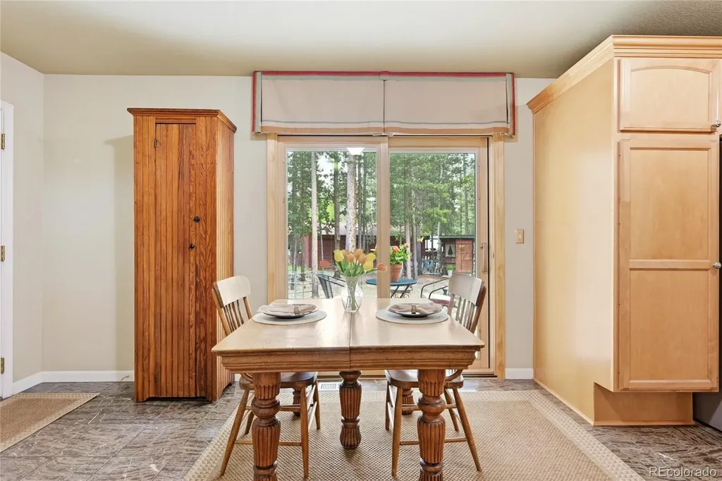9128 Krashin Drive Conifer CO 80433
