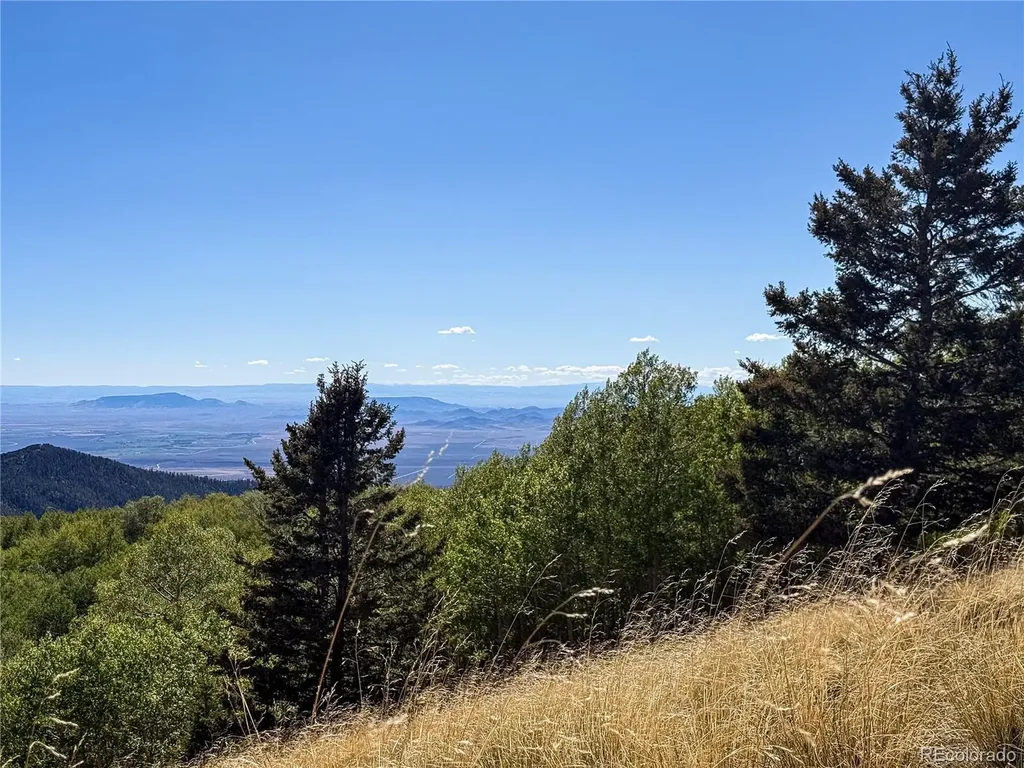 Lot 6829 Ryland Road Fort Garland CO 81133