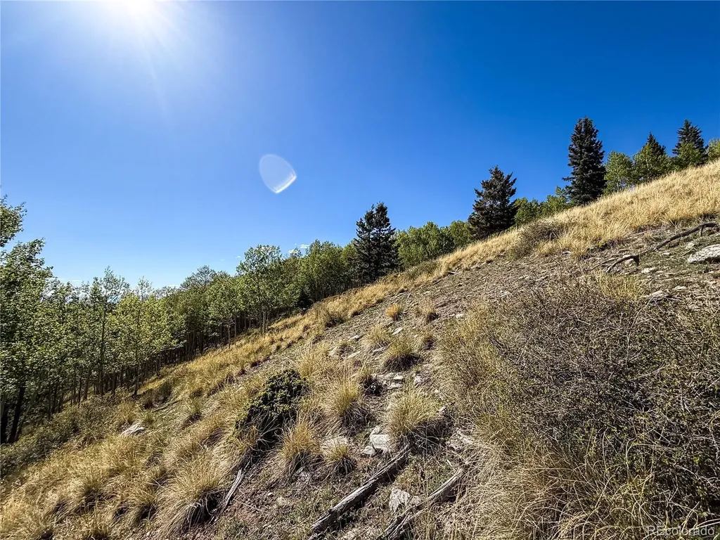 Lot 6829 Ryland Road Fort Garland CO 81133